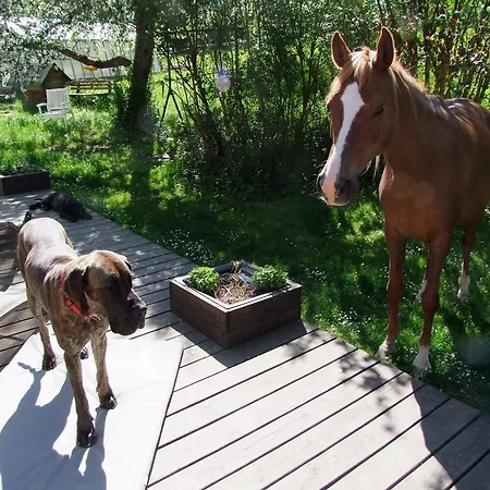 Wonderworld Διαμέρισμα Alfdorf