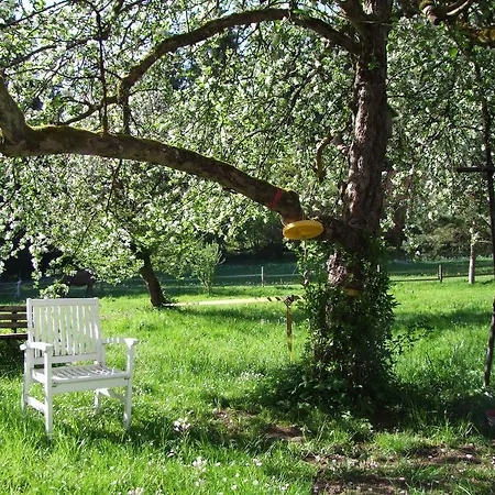 Wonderworld Διαμέρισμα